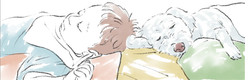 赤ちゃんとペットの画